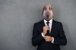 Create meme: dogs, dog, dog mask