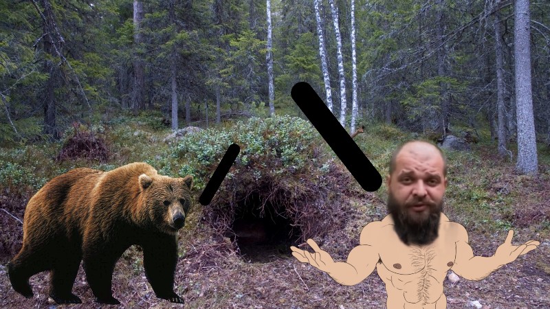 Create meme: bear , bear in the taiga, taiga bear