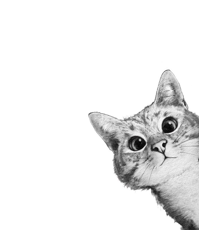 Создать мем: котики рисунки, кошка рисунок, кот рисунок
