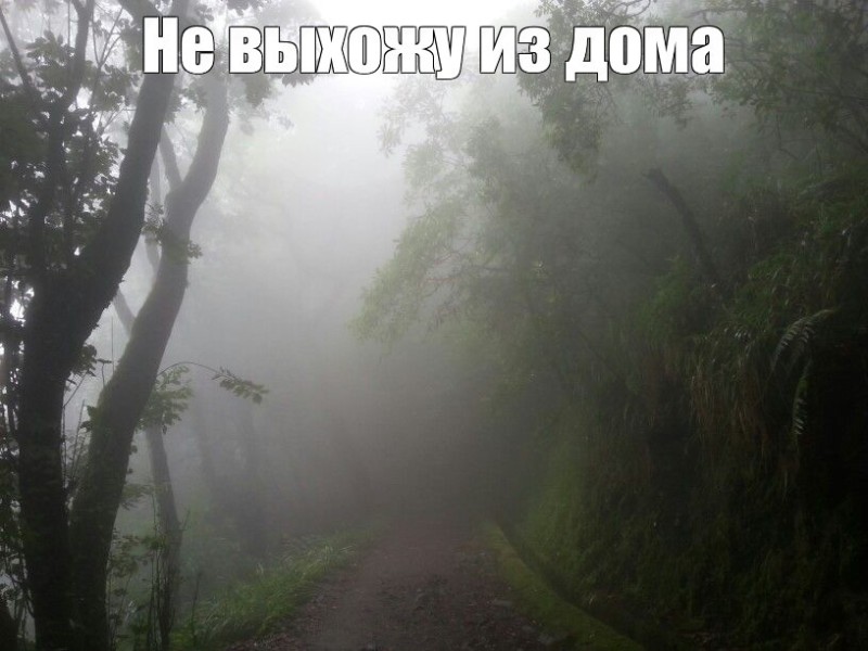 Создать мем: дорога, туманные пейзажи, интерьер