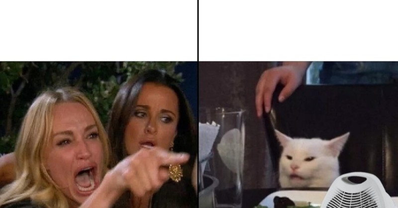 Создать мем: кот мем, мем с котом и бабами, мем женщина и кот