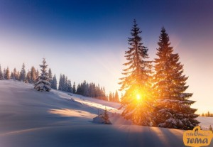 Создать мем: зима рассвет, зимний лес солнце, красивый зимний рассвет