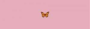 Создать мем: фоны, бабочки монархи, обои с бабочками эстетика