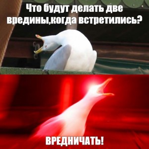 Создать мем: орущая чайка, кричащая чайка мем, мем орущая чайка