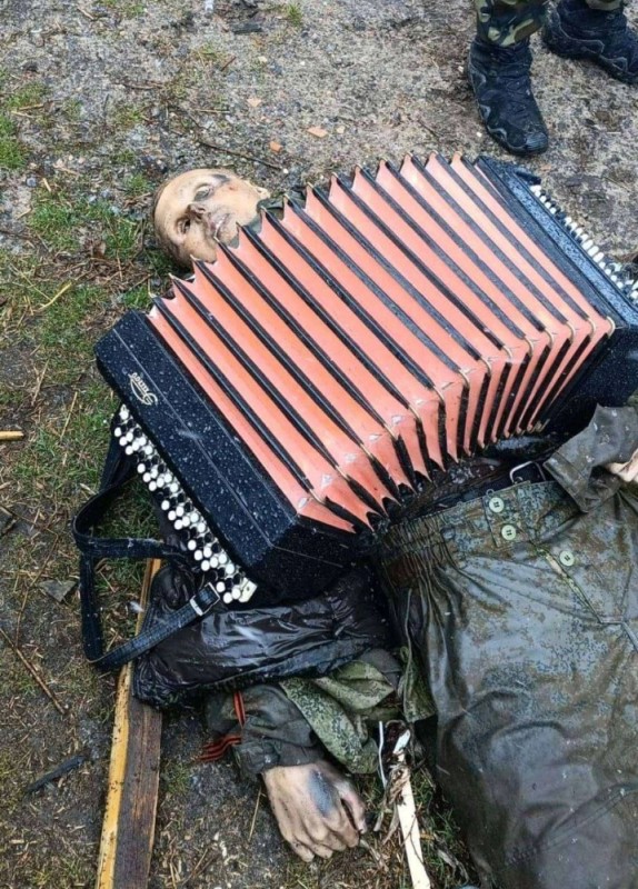 Create meme: russian accordion, accordion , Bayan 