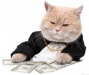 Create meme: cash cat, cat millionaire, cat with money