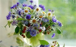 Create meme: pictures with beautiful wild flowers, field bouquet, greeting card with bouquets of wildflowers