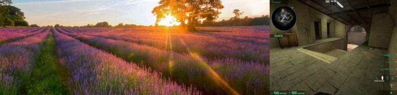 Create meme: lavender field, mountains dawn lavender fields, a field of flowers at dawn