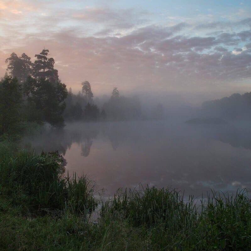 Create meme: misty dawn, dawn mist, morning on the river
