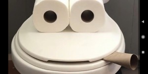 Создать мем: унитаз с туалетной бумагой прикол, туалетная бумага прикол, туалетный юмор