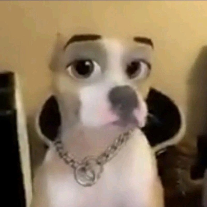 Create meme: a dog with black eyebrows, painted dog, dog 