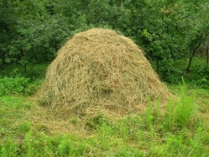 Create meme: the stack of straw, images on the topic the hay, haystack