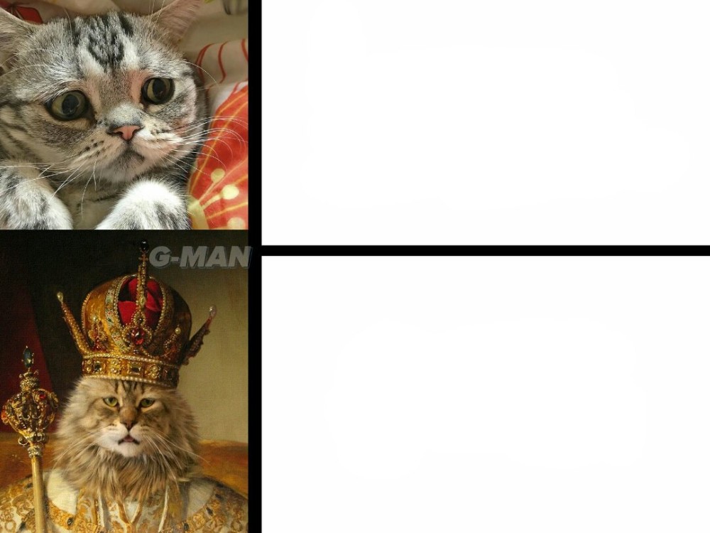 Create Meme Cat Basil Cat I Love Cats Pictures Meme Arsenal Com