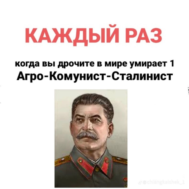 Создать мем: факты о сталине, прикол, сталин ссср