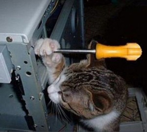 Создать мем: кот с отверткой, кот с гаечным ключом, ремонт компьютера