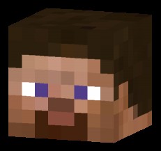 Create meme: skin Steve head in minecraft, head to Steve in the block, steve