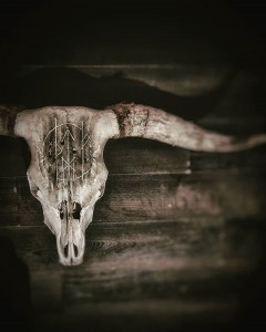 Create meme: a Buffalo skull pictures, the skull of a Troll in Skyrim, the skull of a bull