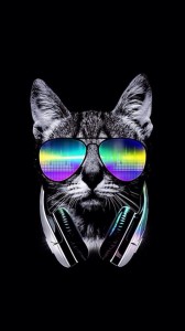 Создать мем: в темных очках, art cat, арт кошачий