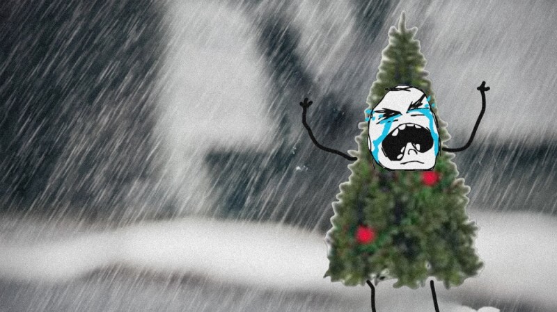 Create meme: wet snow , snow with rain , snow 