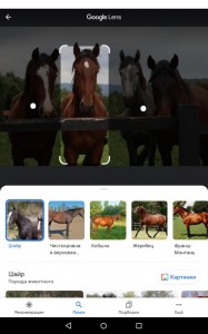 Create meme: wild horses, a screenshot of the game, horse