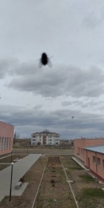 Create meme: fly, fly on the window