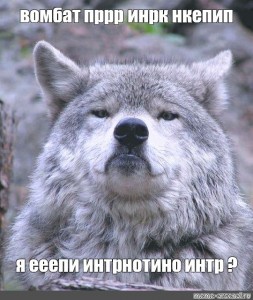 Create meme: wolf proud, meme wolf, memes wolf
