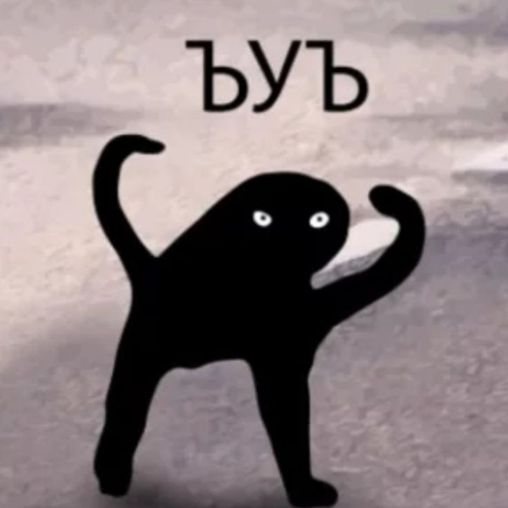 Создать мем: ъуъ оригинал черный кот, черный кот ъуъ, мем черный кот