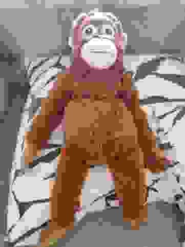 Создать мем: орангутанг рисунок, горилла, орангутан