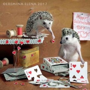 Create meme: hedgehog, Elena Eremina hedgehogs, Elena Eremina