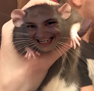 Create meme: four rat, demo rat, bald monkey