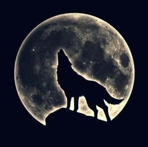 Создать мем: дизайн волка луна, тату волк воет на луну, луна волк