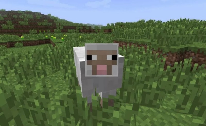 Create meme: lamb minecraft, minecraft sheep, minecraft sheep