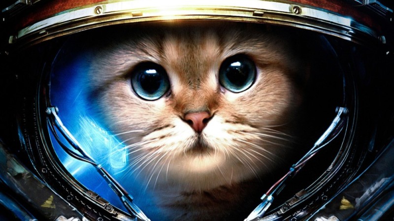 Создать мем: кот в космосе, котик космонавт, кот в скафандре