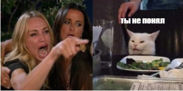 Создать мем: мемы с котом за столом, женщина кошка мем, мемы с котом и девушками
