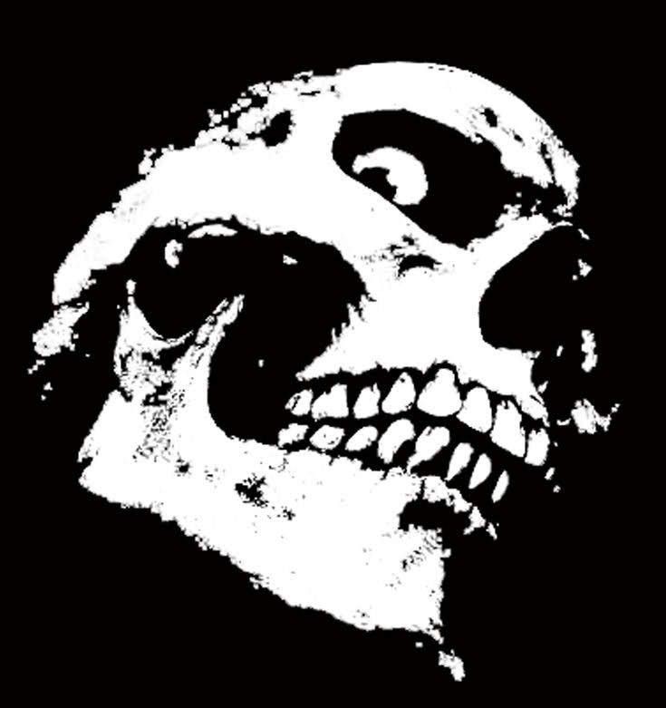 Create meme: skull , skull black, misfits logo