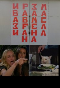 Create meme: a woman and a cat meme, the meme with the cat and the woman, the woman yelling at the cat