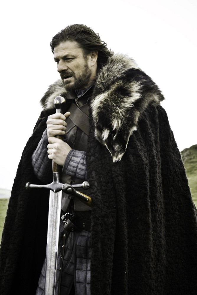 Create meme: winter is coming game of Thrones, brace yourself , game of thrones Eddard stark
