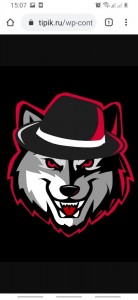 Create meme: team logo png, red wolf, avatar for steam, avatar in steam