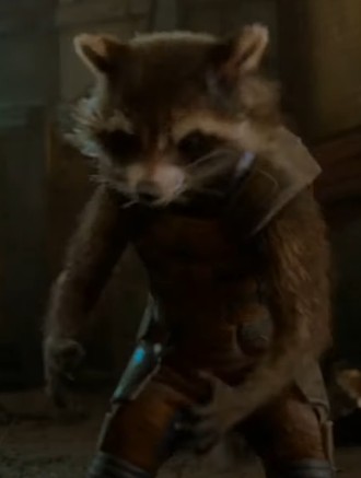 Create meme: guardians of the galaxy. part 2, guardians of the galaxy , The raccoon of the guardians of the galaxy is sitting