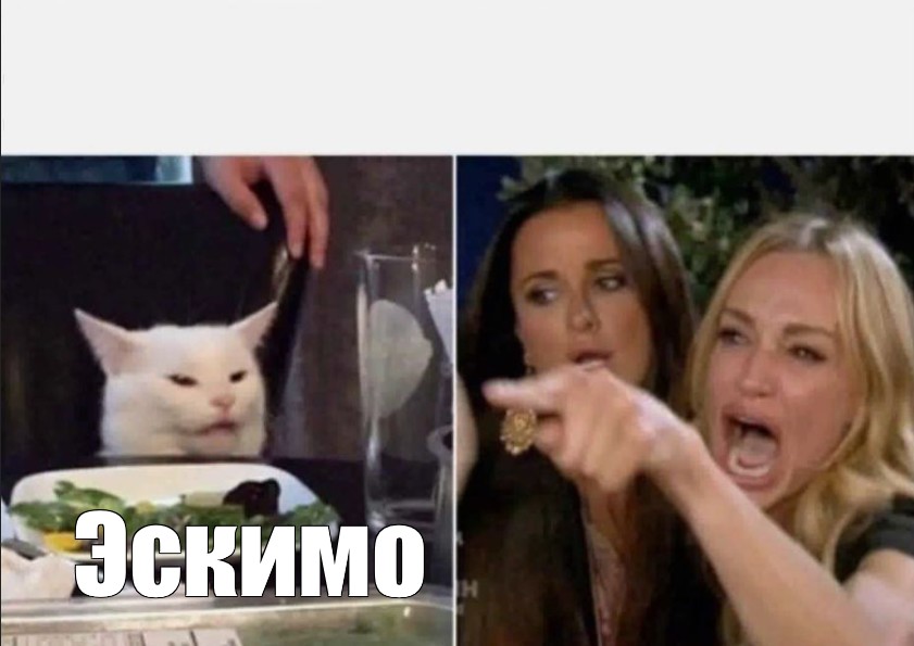 Мем с котом и женщиной. Кот Мем. Мем кот и две девушки. Мем с котом и двумя женщинами. Коты мемы.