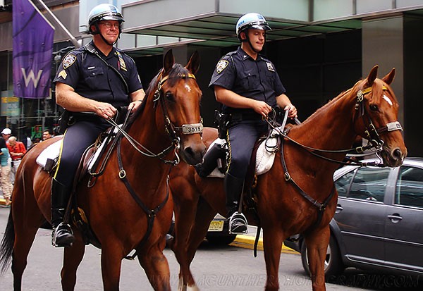 Создать мем: полиция сша, конная полиция германии, конная полиция нидерландов