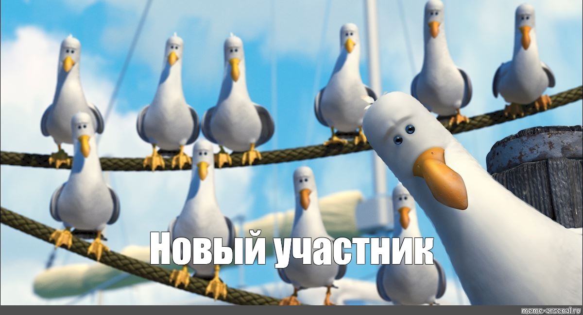 Новый Участник Фото