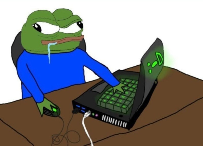 Create meme: the frog pepe, pepe the frog, Pepe the frog at the computer