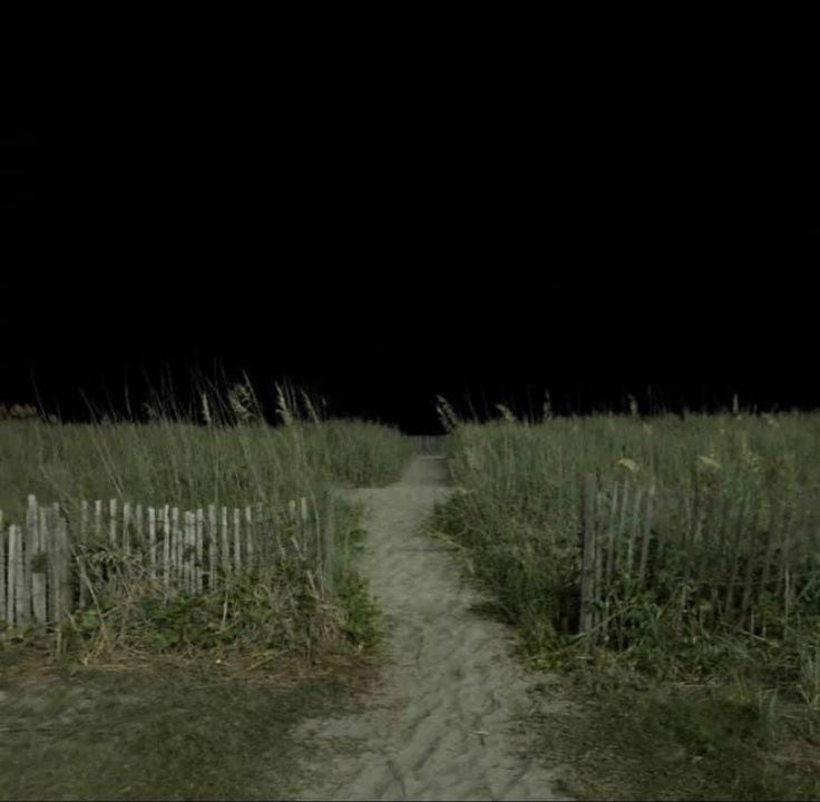 Create meme: grass in the field, field at night, in the dark