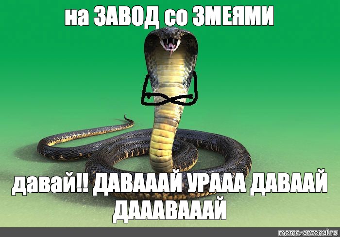 Змею не дам
