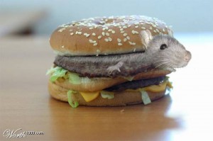 Create meme: big Mac, rat, mcdonalds