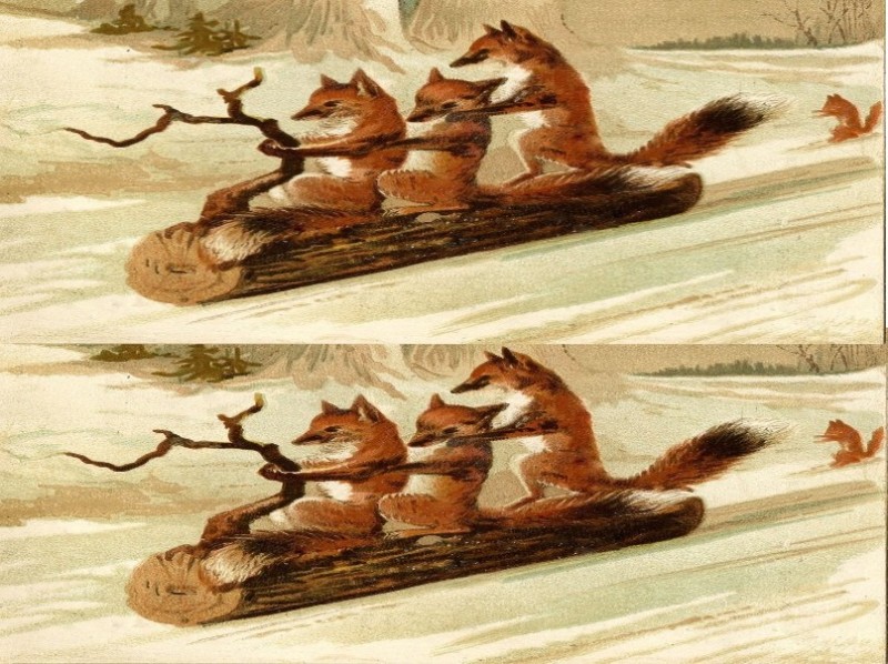 Create meme: foxes on a log meme, fox on a log, fox painting