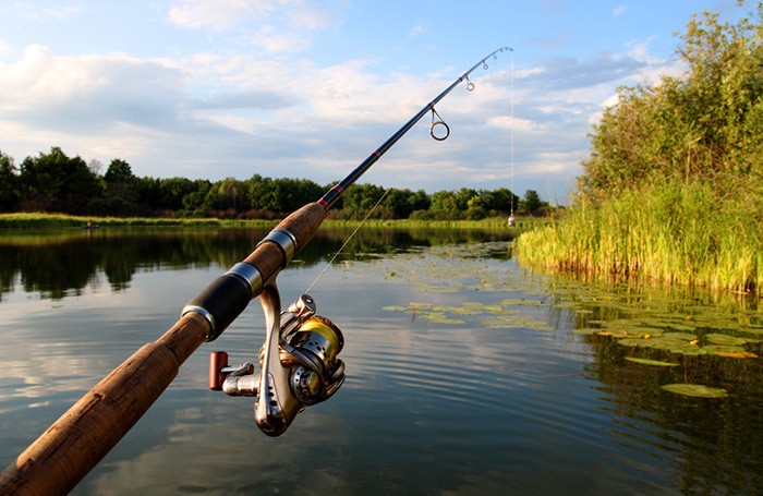 Create meme: carp fishing rod, fishing rod spinning, fishing spinning
