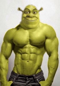 Create meme: Manny Shrek, people, Shrek