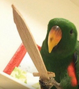 Create meme: parrot large, parrot